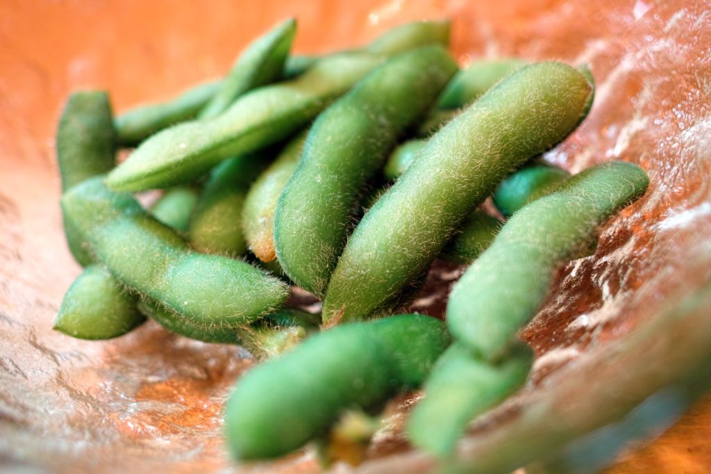 枝豆の育て方 プランターで美味しく育てる方法は 植物大好きガーデニング部